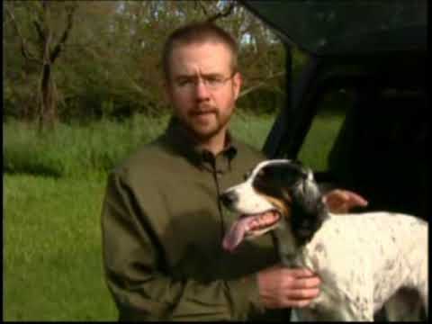 Wound Care for Your Hunting Dog