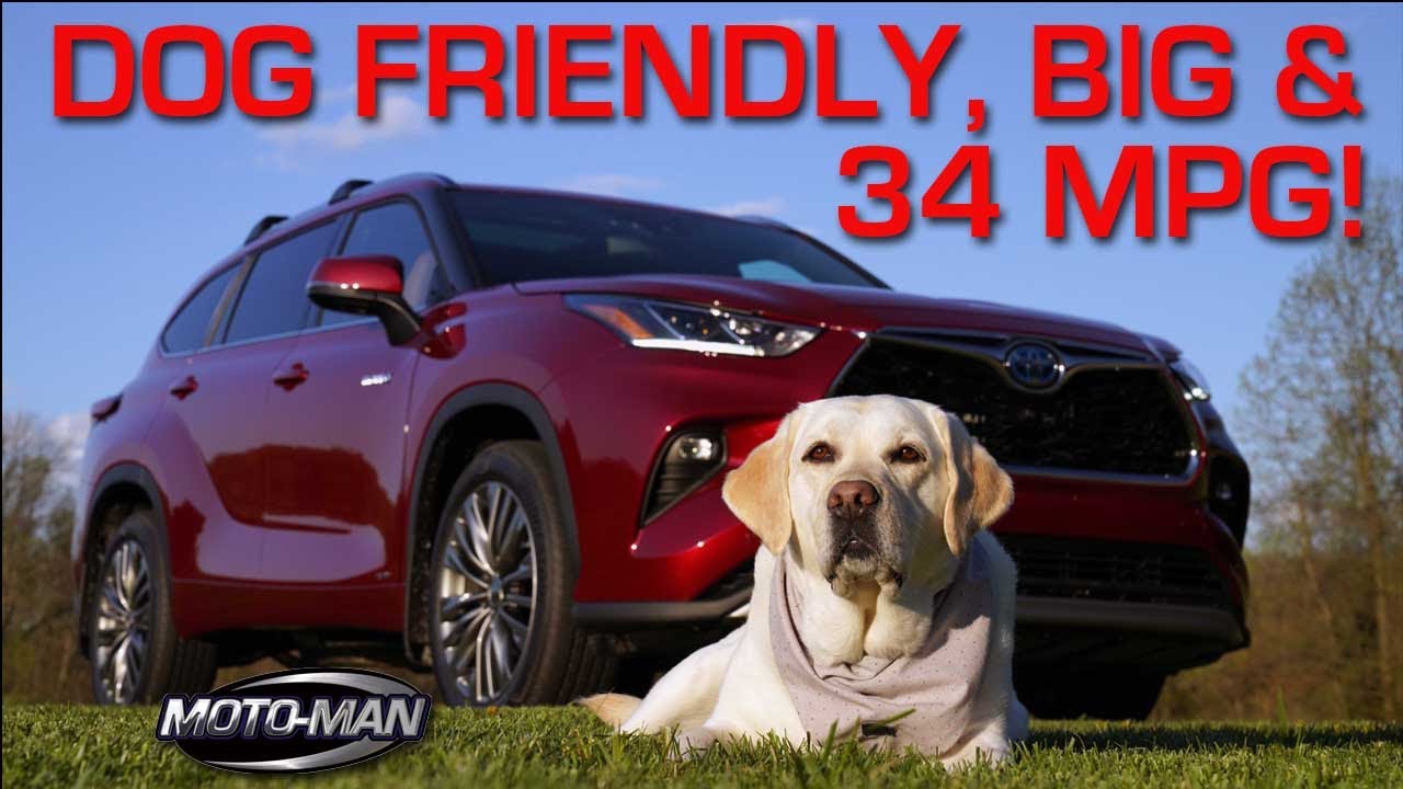 Dog Friendly, Big & 34 MPG: The 2020 Toyota Highlander Hybrid