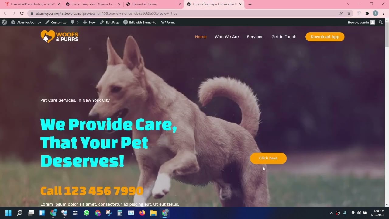 how to make dog caring website with wordpress