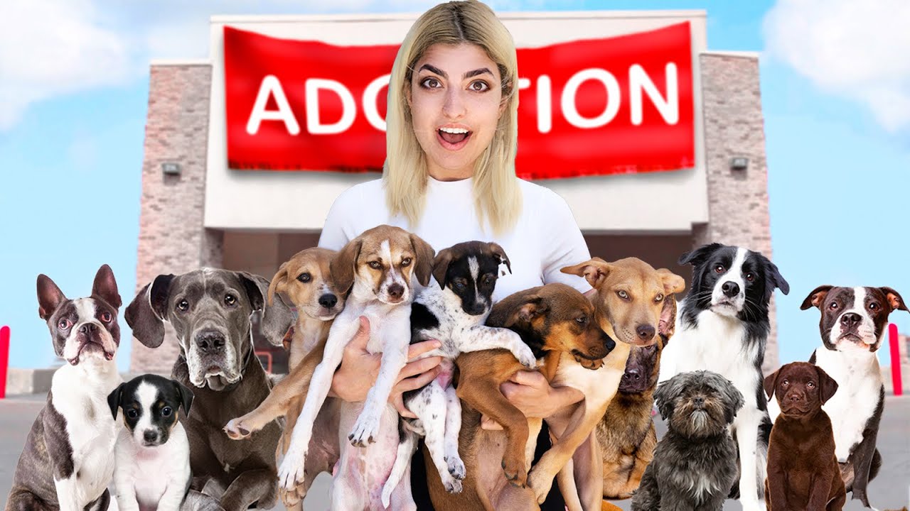 Getting 20 Puppies Adopted In A Day!