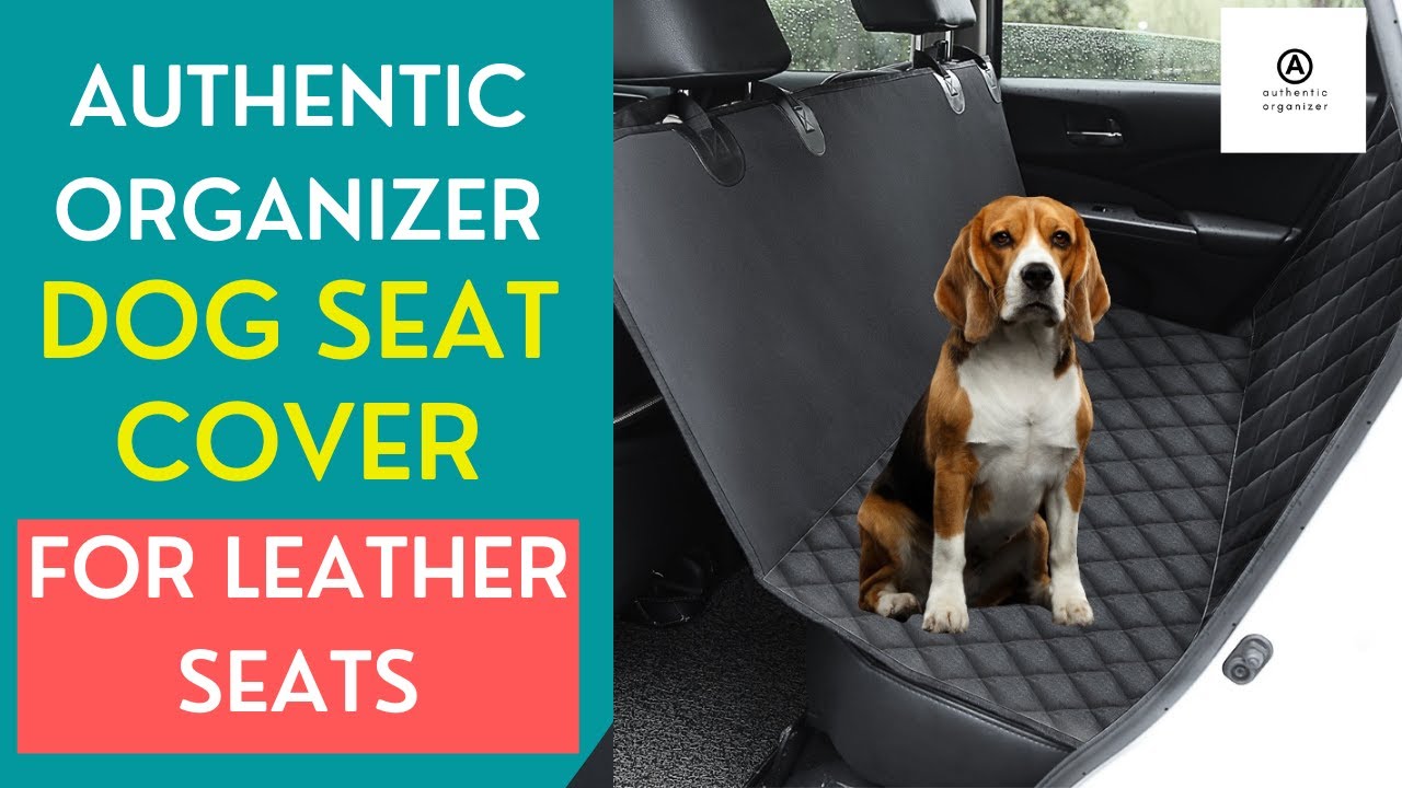 Dog Seat Cover For Leather Seats | Dog Back Seat Cover For Cars & SUVs | Authentic Organizer