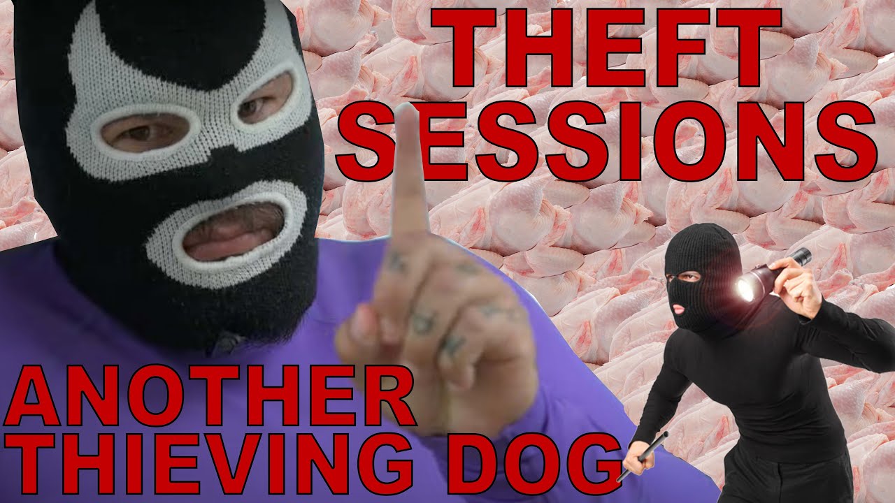 THEFT SESSIONS ANOTHER THEIVING DOG