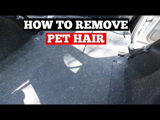 How To REMOVE Pet Hair From Car- Interior Car Detailing Tips