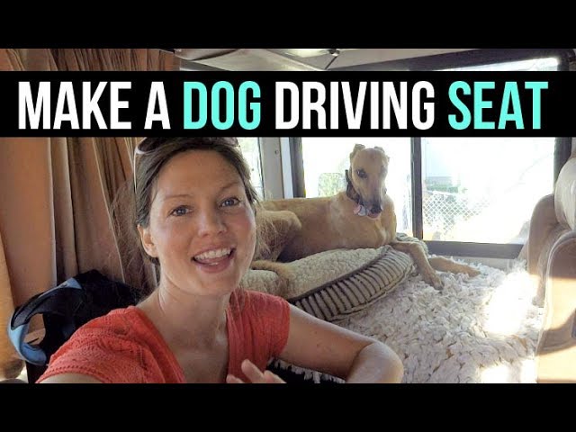 RV Living: How to Build  Dog Driving Seat