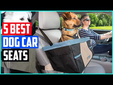 The 5 Best Dog Car Seats for Every Kind of Canine in 2021