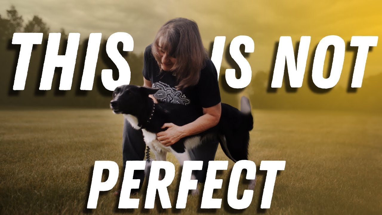 Normalizing Imperfection in Dog Training