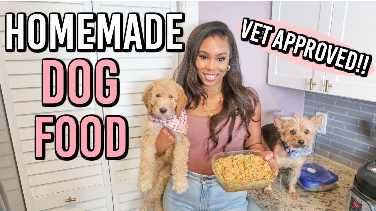 VET APPROVED HOMEMADE + HEALTHY DOG FOOD RECIPE | COOKING FOR YOUR DOG