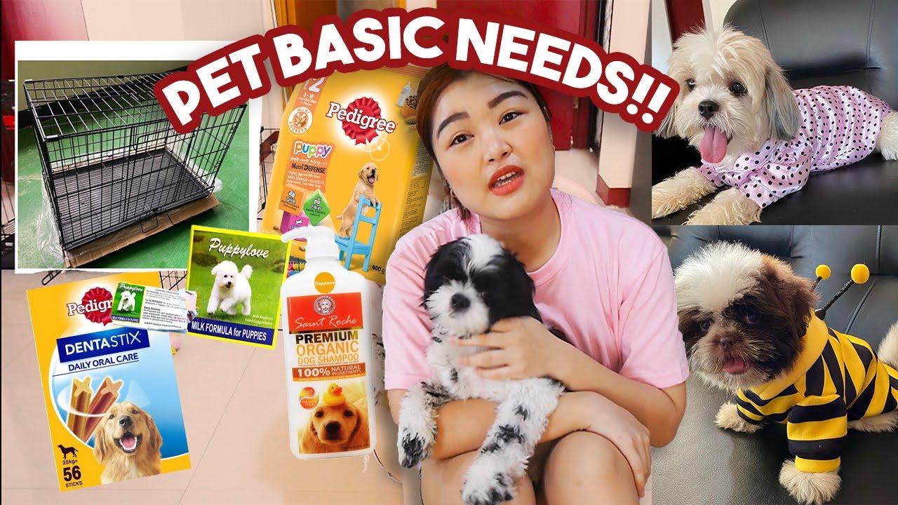 PET ESSENTIALS for FIRST TIME FURPARENTS! + meet my furbabies | Arah Virtucio