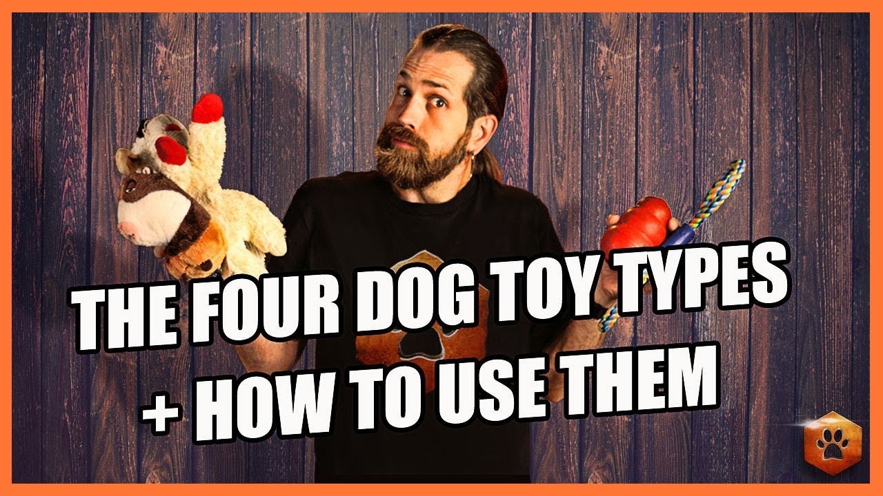 How to Use the 4 Types of Dog Toys RIGHT!