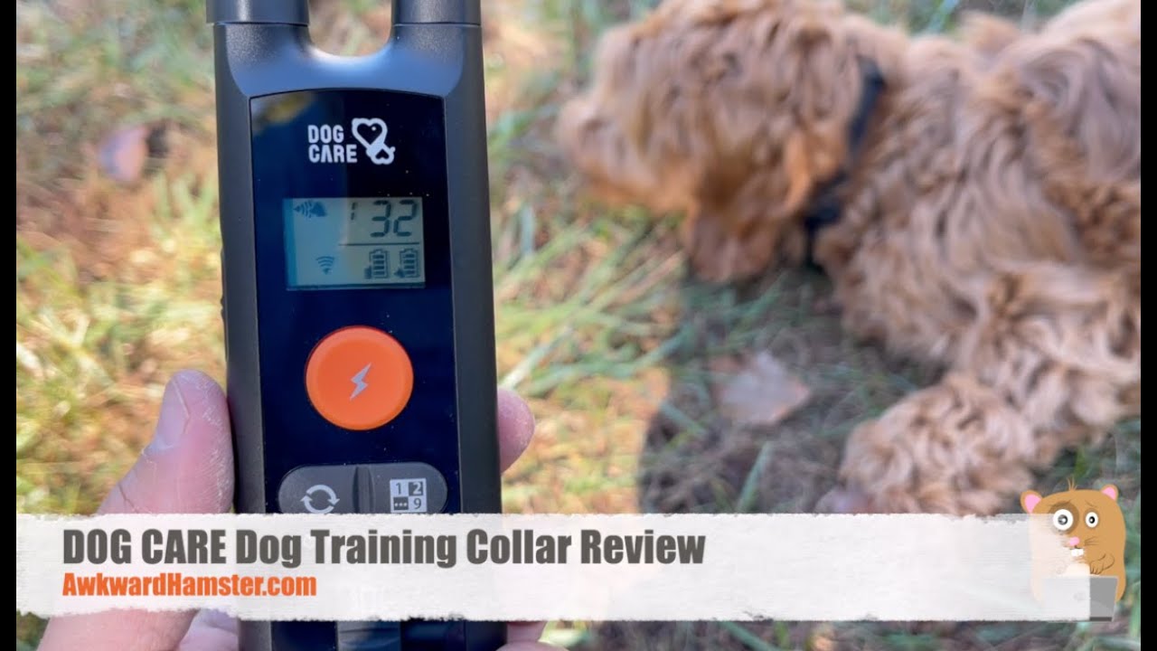 DOG CARE Dog Training Collar Review