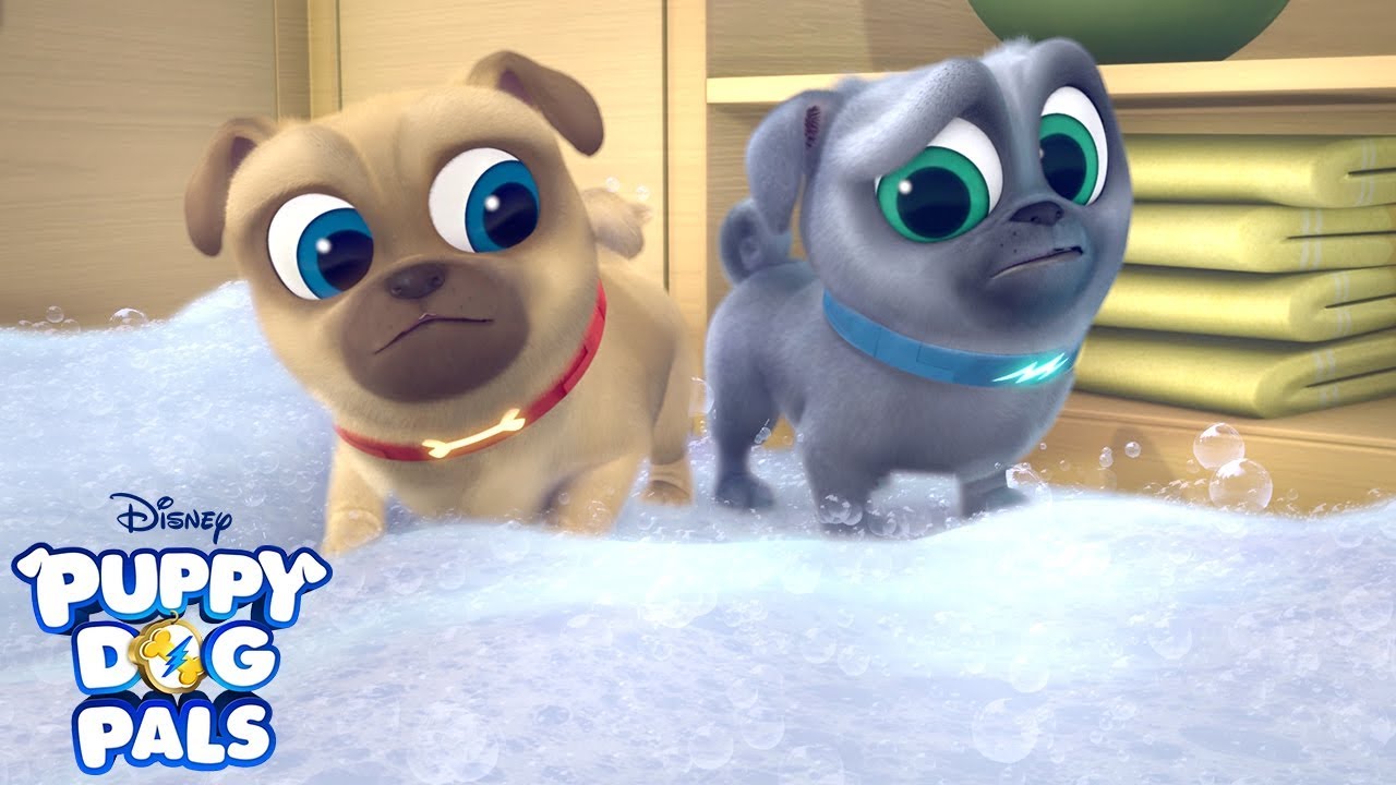 Cleanin’ Pup! | Puppy Dog Pals | Disney Junior