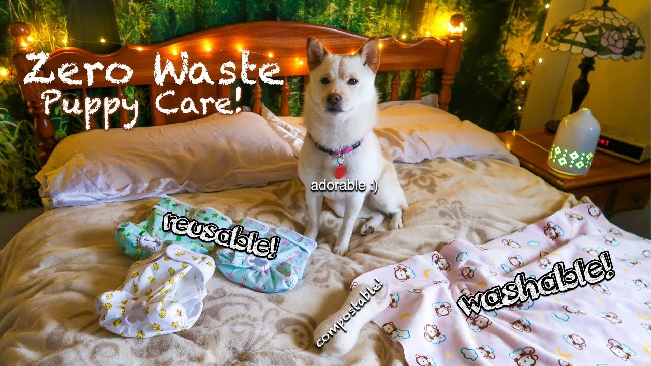 ZERO WASTE Dog Care!