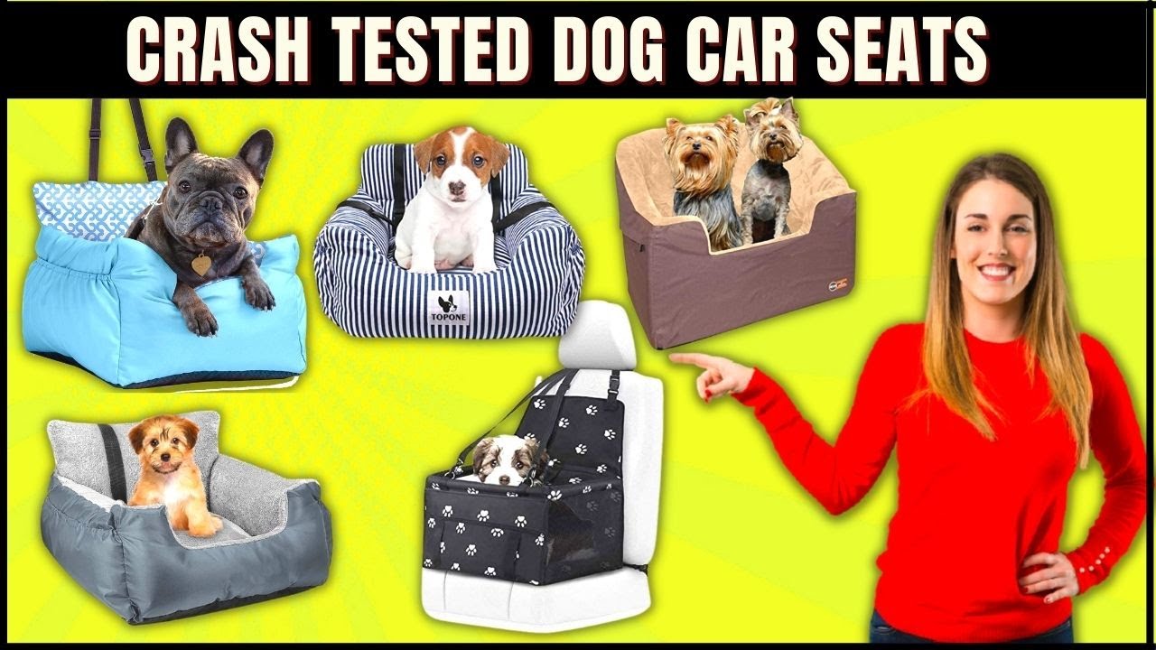 7 Best Car Seat For Dogs  Dog Car Seats Crash Tested – Top Video