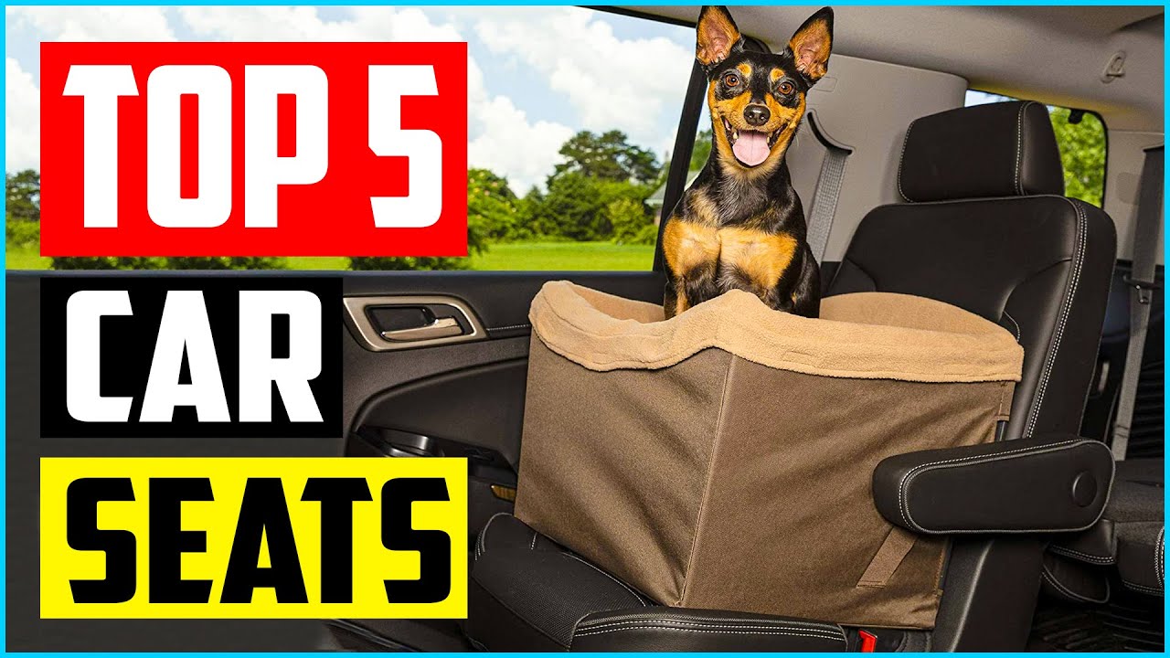 Top 5 Best Dog Booster Car Seats in 2021 Reviews