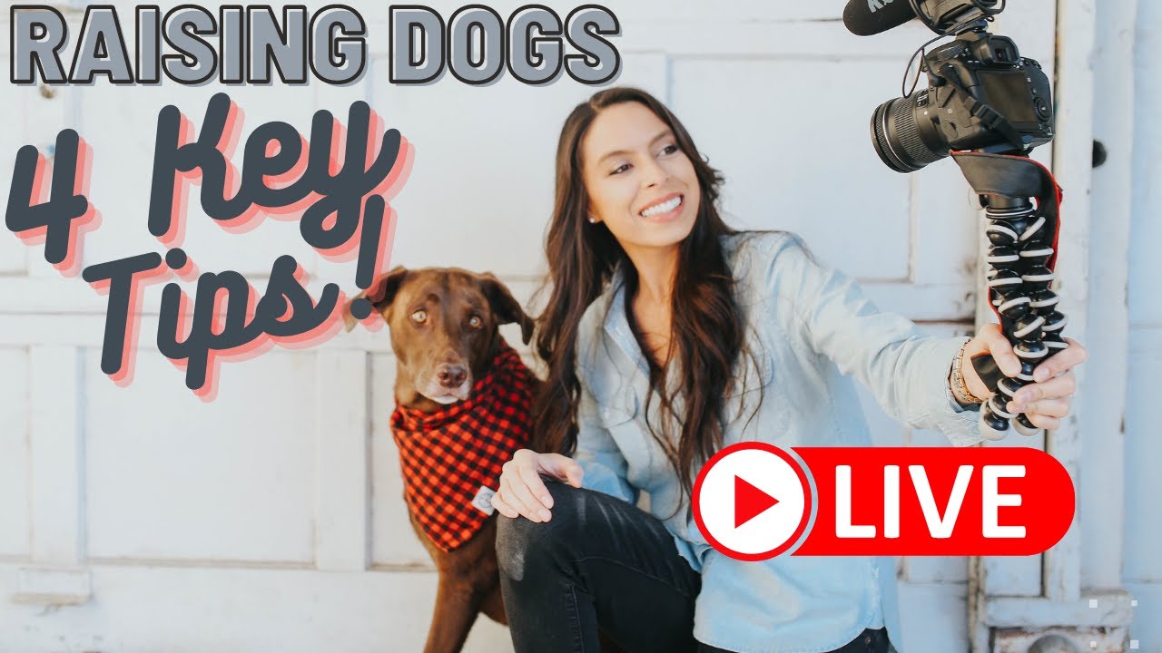 4 BEST Ways to Raise Dogs + LIVE Q&A  Dog care tips, that really work!