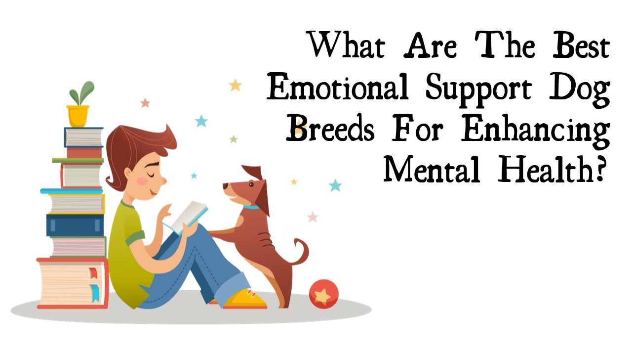 The Best Emotional Support Dog Breeds For Mental Health