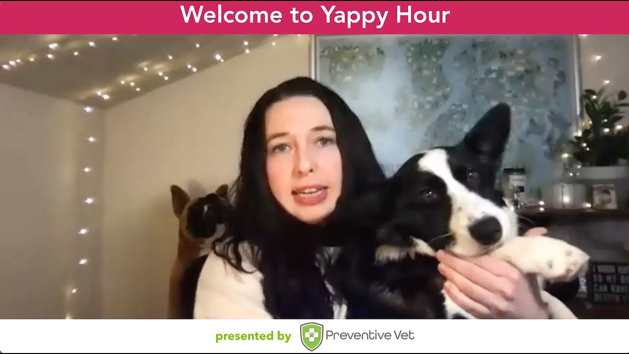 Yappy Hour – Spay and Neuter Timing & How It Affects Your Dog’s Health and Behavior