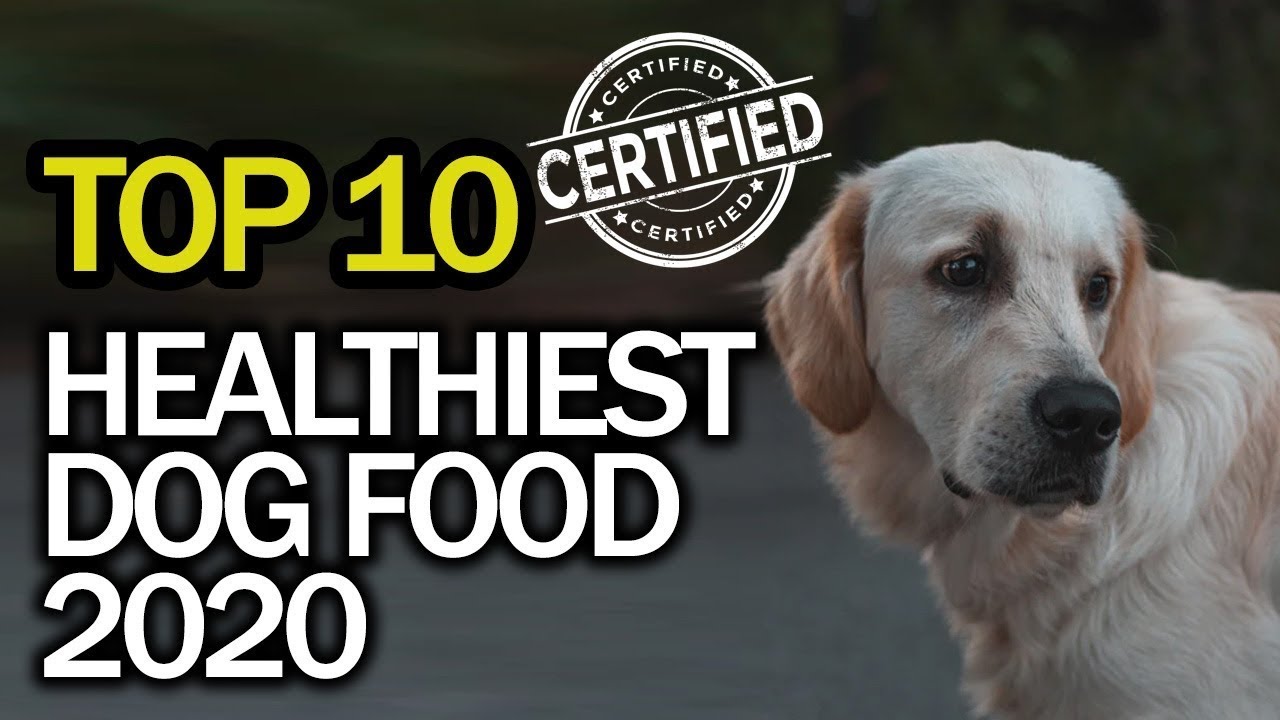 Best Healthy Dog Food (Top 10 in 2020) Natural Grain Free Healthiest Dog Food Brands