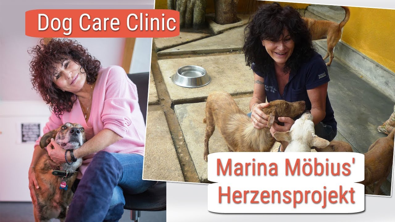 Dog Care Clinic – das Herzensprojekt von Marina Möbius aus Villingen-Schwenningen