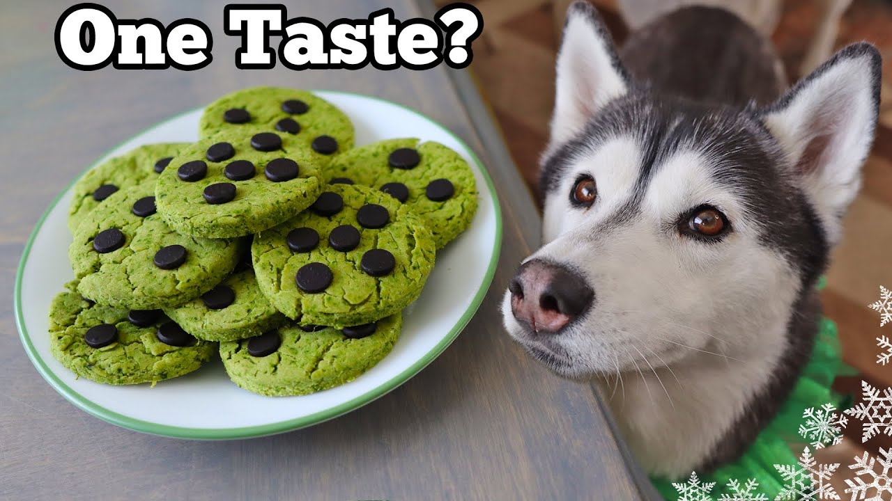 Mint Chocolate Chip Cookies For Dogs  St Patrick’s Day DIY Dog Treats