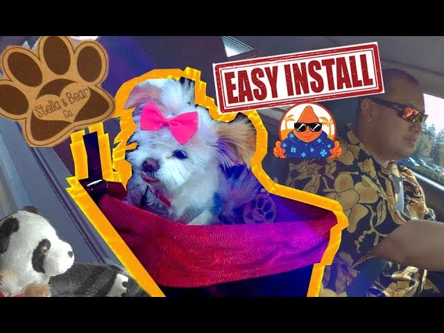 Installing Stella and Bear Cozy Boost Dog Booster Seat for Small & Medium Pet bed How To