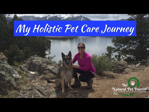 Why Your Holistic Pet Care Journey Is Important [Losing My Soul Dog To Preventable Disease]