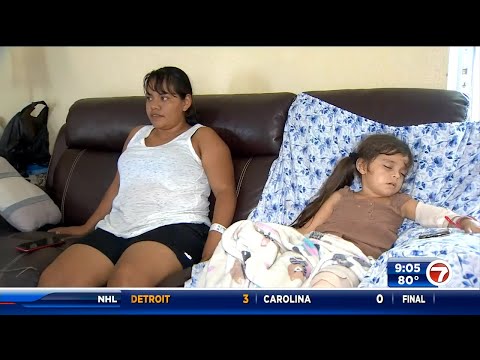 Fort Lauderdale mother and child attacked by 2 pit bulls, both recovering