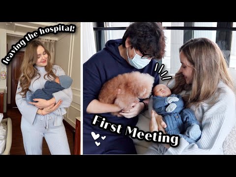 Leaving The Hospital & Our Dog Meets Our Baby For The First Time | Vlog