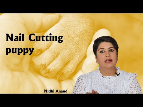 Puppy nail Cutting | Hair in the paws | Dog Care | Explained by Nidhi Anand | Genvet