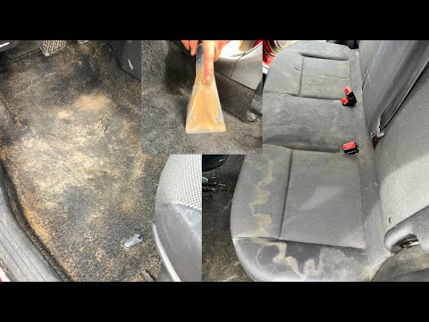 Cleaning A Dirty Dog Car