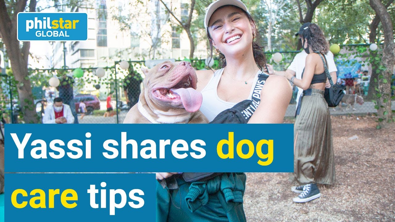 Yassi Pressman shares dog care tips to new ‘paw rents’