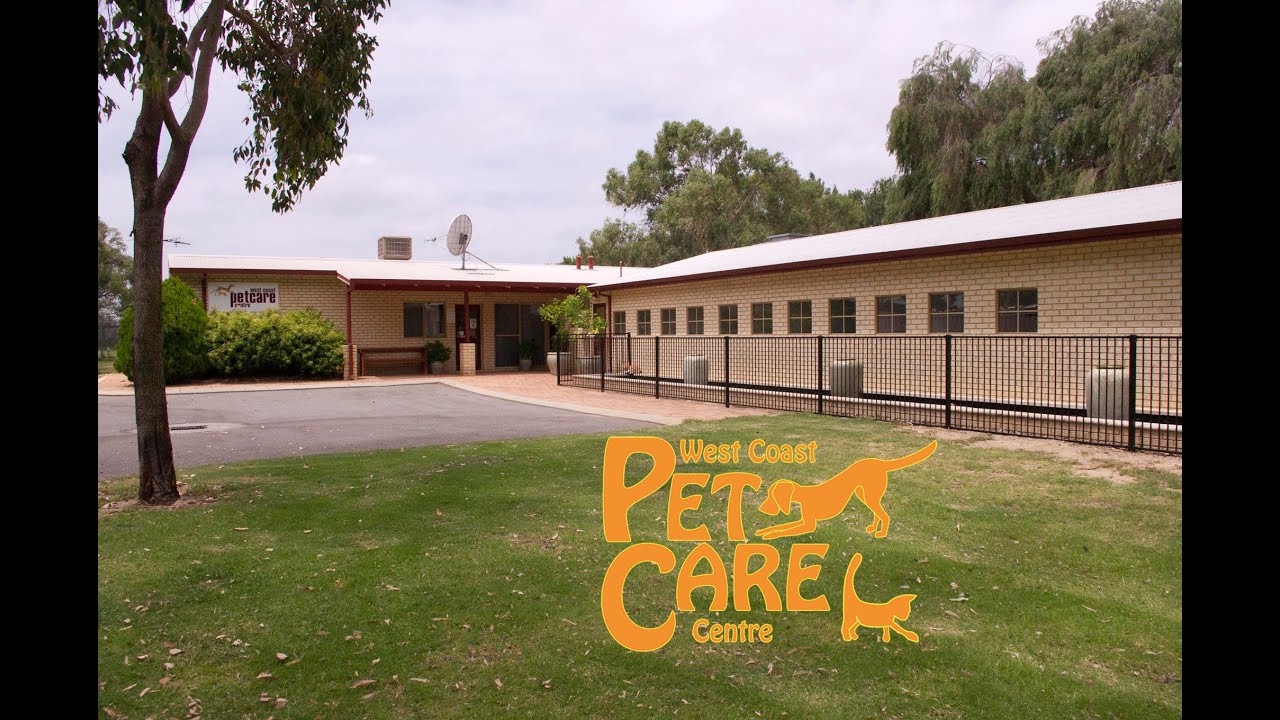 Dog Kennels Perth – West Coast Pet Care Centre