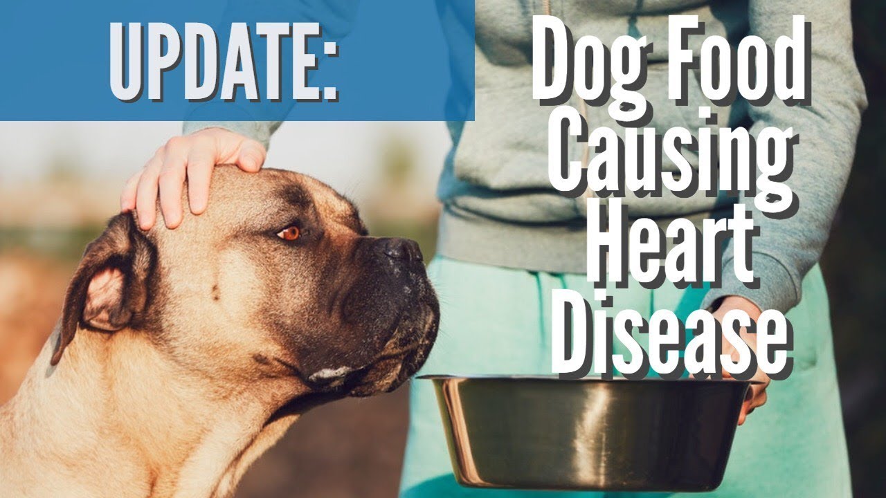 [New Update] Dog Food Causing Heart Disease