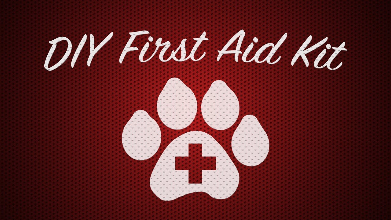 DIY First Aid Kit for Cat or Dog