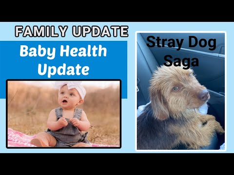 Family Update Baby Health Issues & Stray Dog Saga | It will melt your heart