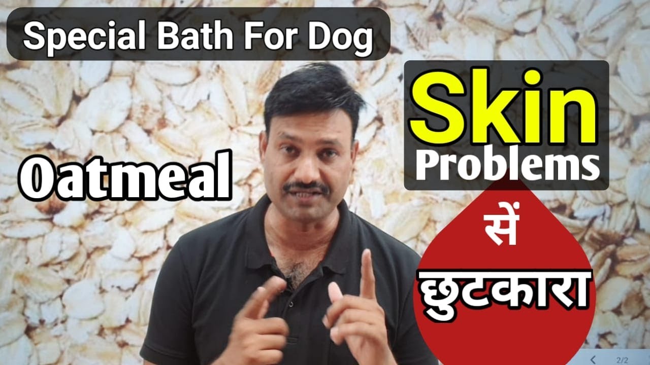 Special Bath For Dog Skin Problems      Ramawat Dog care